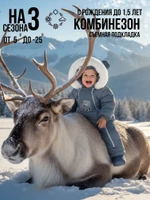 Комбинезон, Синий арт. 267шм/2 (62 см)