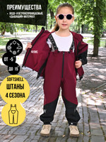 Полукомбинезон, Весна-Осень, SoftShell, Бургундия арт. 803С (104 см)