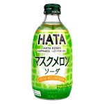 Газированный напиток Hatakosen Musk Melon Soda со вкусом мускусной дыни, 300 мл