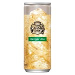 Газированный напиток Canada Dry Ginger Ale - имбирный эль, 250 мл