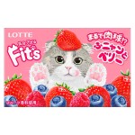 Жевательная резинка Lotte FIT`S Funny&amp;Berry ягодная, 24,6 г