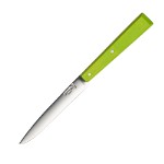 Нож столовый Opinel 125, нержавеющая сталь, зеленый 001586