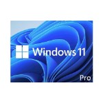ПО Microsoft Windows 11 Professional 64-bit English Single package DVD OEM (FQC-10529 in pack)
