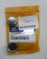 CAP-SEALING Hyundai-KIA арт. 1573430000