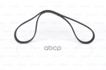 Ремень поликлиновой Bosch арт. 1987946213