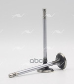 Клапан вып VAG AXX/BZC/CDAA… 28x6x101.9 Autowelt арт. VE51020