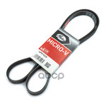 Ремень приводной поликлиновой  GATES Gates арт. 6PK1623