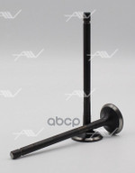 _ клапан вып TOYOTA 1AD-FTV/2AD-FTV Autowelt арт. VE34038