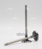 Клапан вып BMW M44B18/19 M50B25 M52B25/28 Autowelt арт. VE50002