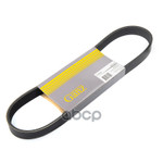 Ремень поликлиновой GANZ арт. GIE37009