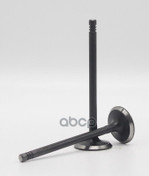 Клапан впуск FORD FXJA/HWDA… 1.4⁄1.6 16 Autowelt арт. VI54008