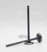 Клапан вып NISSAN MR18DE/MR20DE 27.8x5.5x Autowelt арт. VE33008