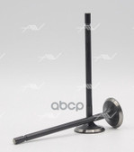 Клапан вып RENAULT F4R/F4P 29x5.5x108.9 Autowelt арт. VE57000