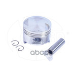 Поршень двигателя NSP арт. NSP0196571302