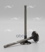 Клапан вып VAG CBZA/CBZB/CBZC 30x6x98.4 Autowelt арт. VE51027