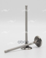 Клапан вып OPEL  Z10/12/14 X10/12 25.1x5x93.8 Autowelt арт. VE53006