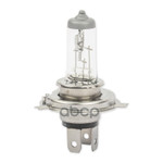 Лампа накаливания GANZ арт. GIP06011