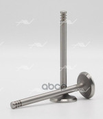 Клапан вып VAG AEA/AEE/AEX/ADX/AKV 29x7x9 Autowelt арт. VE51000