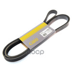 Ремень поликлиновой GANZ арт. GIE37013