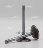 Клапан впуск VAG AAC/ADY/ABT… 39.5x8x91 Autowelt арт. VI51010