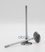 Клапан впуск RENAULT K4M/K4J 32.7x5.5x109 Autowelt арт. VI57001