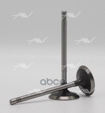 Клапан впуск VAG CBZACBZBCBZC 35.5x6x98.7 Autowelt арт. VI51027