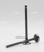 КЛАПАН ВЫП NISSAN CR10/12/14DE 22.5X5.5X98 Autowelt арт. VE33020