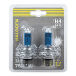 Лампы накаливания, комплект GANZ арт. GIP06055