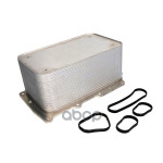 Радиатор масляный DAF XF105 10.05- CF85 10 .05- MX 252*147*105 NRF арт. 31335