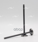 Клапан вып HONDA D15Z  26x5.5x116 Autowelt арт. VE35004