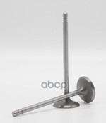 Клапан впуск OPEL Z10/12/14 X10/12 27.9x5 Autowelt арт. VI53006