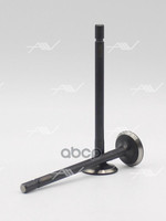 Клапан вып HYUNDAI D4EA CRDi 24.4x6x95.4 Autowelt арт. VE32033