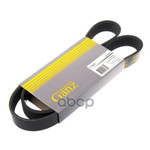 Ремень поликлиновый 6PK1042 FORD Focus II/Fusion/F GANZ арт. GIE37005