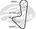 TIMING BELT Gates арт. 5575XS