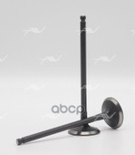 Клапан впуск Autowelt арт. VI38000