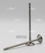 Клапан вып BMW/CITROEN/PEUGEOT 5FS/EP6C/N Autowelt арт. VE57010