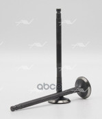 Клапан вып NISSAN YD22/25DDTI 26.2x6x106. Autowelt арт. VE33016