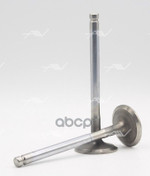 Клапан вып PERKINS 1103⁄1104 41.6x9x129.1 Autowelt арт. VE80000