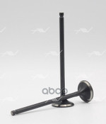 Клапан вып NISSAN HR16DE 25.4x5x102.5 Autowelt арт. VE33019