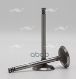 Клапан впуск VAG 1Z/AFN/ALH 36x7x96.8 Autowelt арт. VI51022
