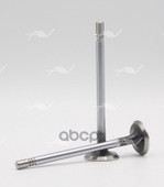 Клапан вып VAG CAHA/CBBB/CFFA 26x6x99.1 Autowelt арт. VE51024