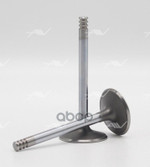 Клапан впуск VAG AMF/BGW… 36x7x89.4 Autowelt арт. VI51016