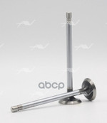 Клапан вып VAG AFK/ATN/BAD… 26x6x100.5 Autowelt арт. VE51012