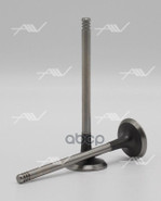 Клапан вып RENAULT K9K 29x6x100.7 Autowelt арт. VE57004