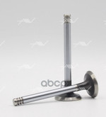 Клапан вып VAG AAB/1X/1Y 31.3x8x95.6 Autowelt арт. VE51003
