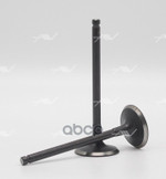 Клапан впуск Autowelt арт. VI34028