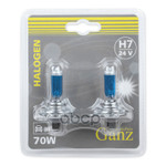 Лампы накаливания, комплект GANZ арт. GIP06058