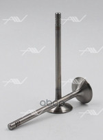 Клапан вып OPEL  Z22SE/YH 30.1x6x101 Autowelt арт. VE53005