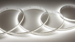 Светодиодная лента Class Premium, 2835, 240 led/m, однорядная, 12V, 24W/m, IP20 (нейтральный белый 5000K), 5м