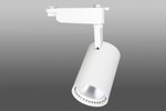 Трековый светодиодный светильник DT-109 (30W, 3000K, однофазный, белый корпус), 1шт